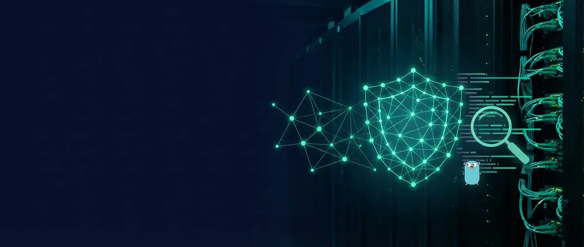 Go - Googles Programmiersprache im Überblick! - Cybersicherheit und digitaler Schutz